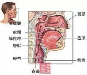 54a4a1c.jpg 54a4a1c.jpg