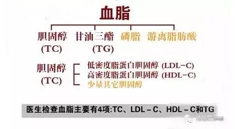 微信图片_20170414084304.jpg