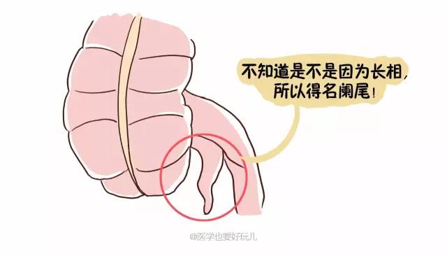 微信图片_20170527095727.jpg