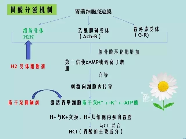 640.webp (26).jpg