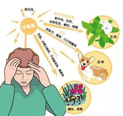 640.webp (10).jpg 640.webp (10).jpg