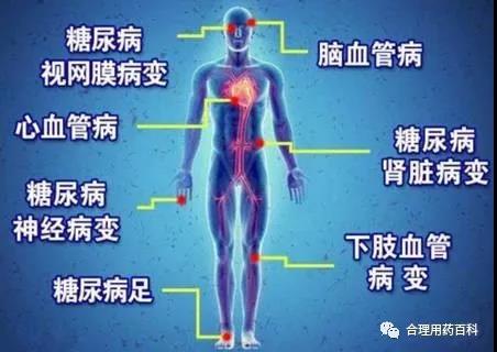 微信图片_20171120152110.jpg