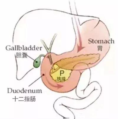 微信图片_20171211155727.jpg