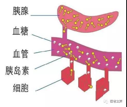 微信图片_20171212201854.jpg