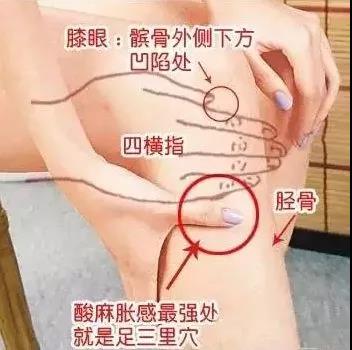 微信图片_20180117144728.jpg