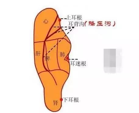 微信图片_20180126134436.jpg