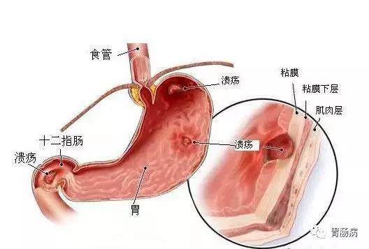 微信图片_20180129093339.jpg
