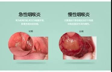 微信图片_20180205110456.jpg