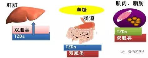 微信图片_20180211205853.jpg