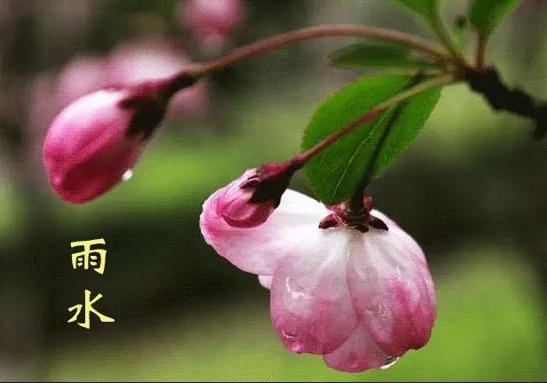 微信图片_20180219071642.jpg 微信图片_20180219071642.jpg