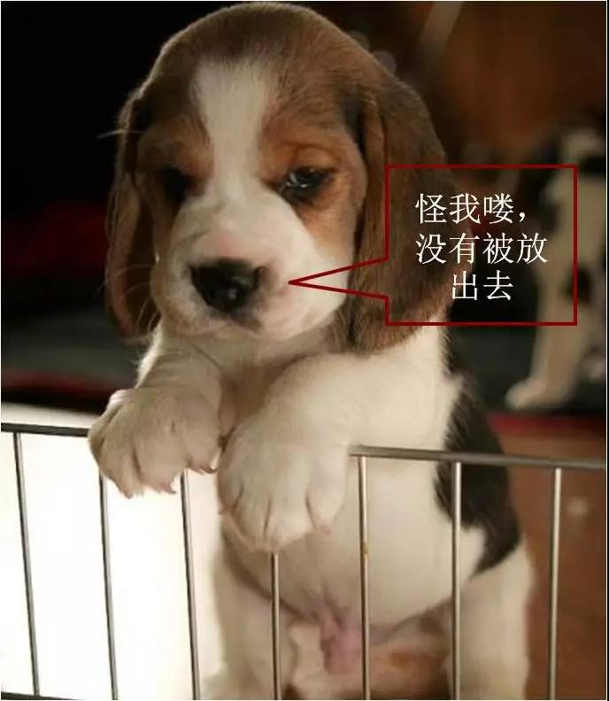 微信图片_20180223204548.jpg