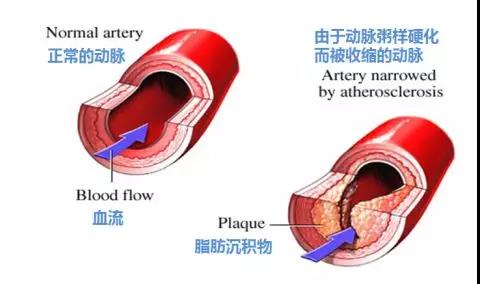 微信图片_20180223204933.jpg
