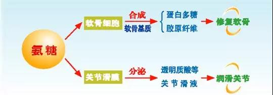 微信图片_20180413090105.jpg