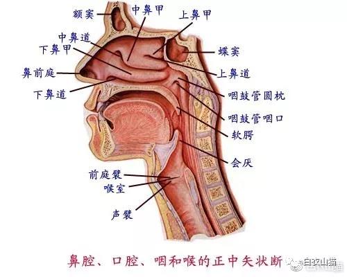 微信图片_20180502082819.jpg