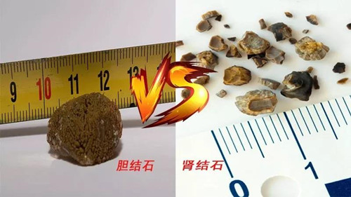 微信图片_20180927165854.jpg