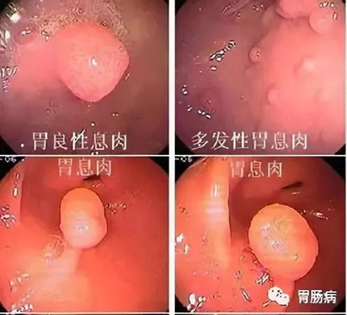 微信图片_20181016101533.jpg
