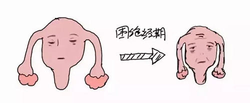 微信图片_20190107091933.jpg