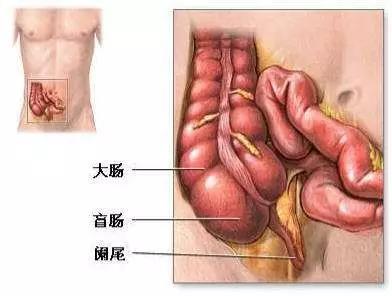 微信图片_20190111132801.jpg