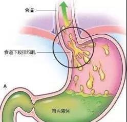微信图片_20190314160434.jpg