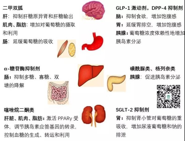 微信图片_20190616204657.jpg