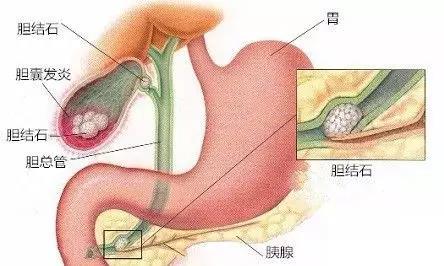 微信图片_20190722153314.jpg