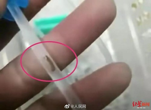 微信图片_20191219110225.jpg
