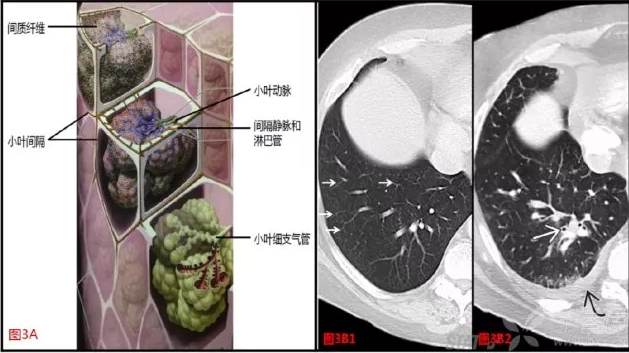 QQ浏览器截图20200505212553.png