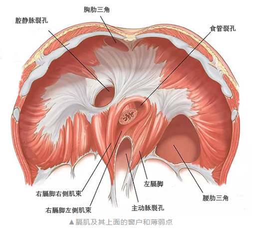 QQ截图20200609164607.png
