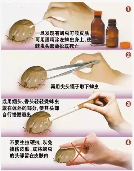 微信截图_20200812144323.png