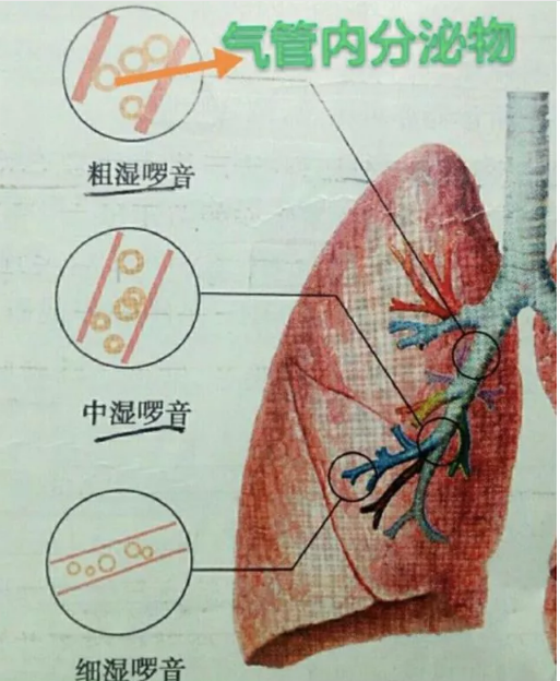 微信截图_20200921082238.png