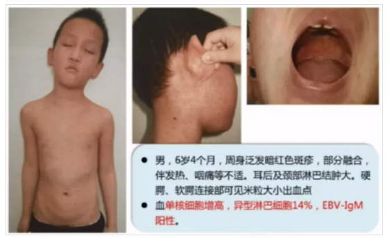 微信截图_20201104155957.png
